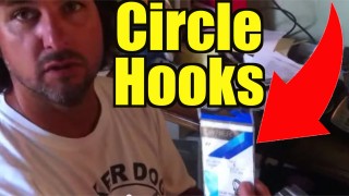 Circle Hook Variety for Live Bait Fishing for Snook Tarpon and Jacks