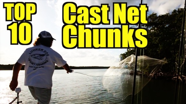 The Best Cast Net Videos On YouTube