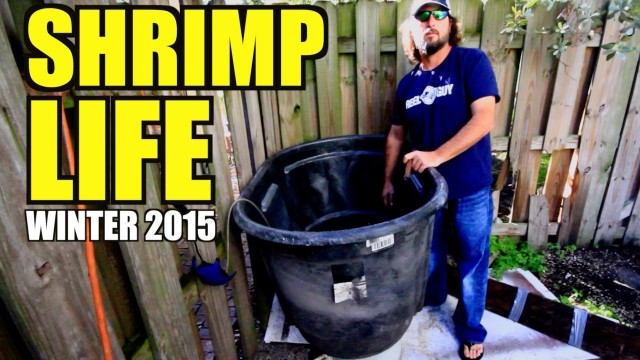 FISH GAME – Keeping Winter Bait Alive in Mega Bucket