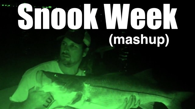 SNOOK FISHING VIDEO MASHUP – Lunkerdog