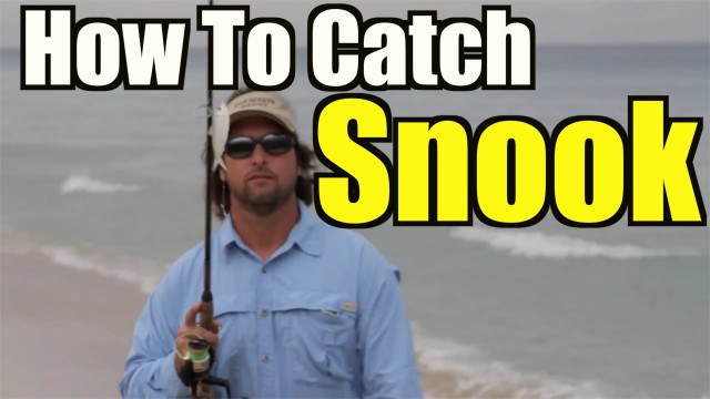 How To Catch Snook – Beach Fishing Tips