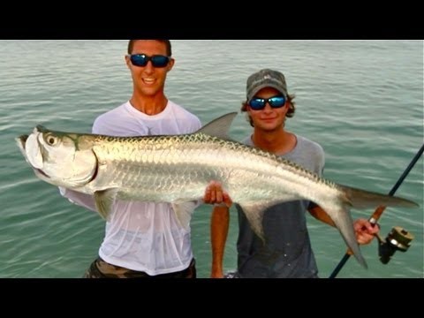 Best Beach Fishing You Have Ever Seen – LIve Bait For Sportfish