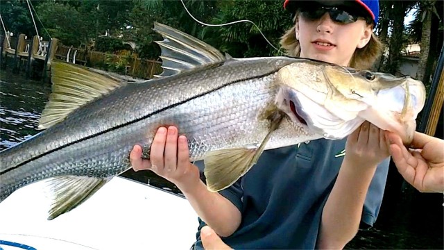 Inshore Snook Fishing – Live Shrimp Bait