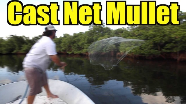 How To Throw A Cast Net