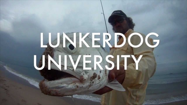 Lunkerdog U – Beach Jack Fishing