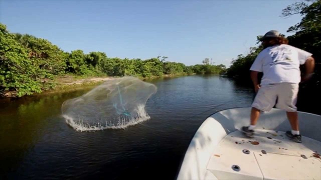 Single Mullet Cast Netting