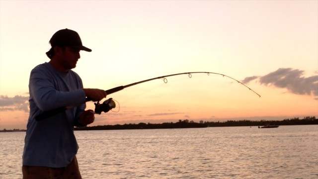 Throw Your Tackle Box In The Water When You See Real Fishing