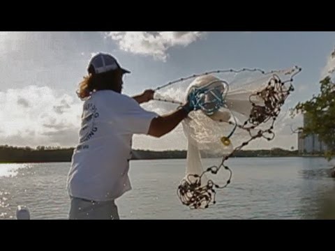 Throw a Cast Net This Way And You Will Get Bait