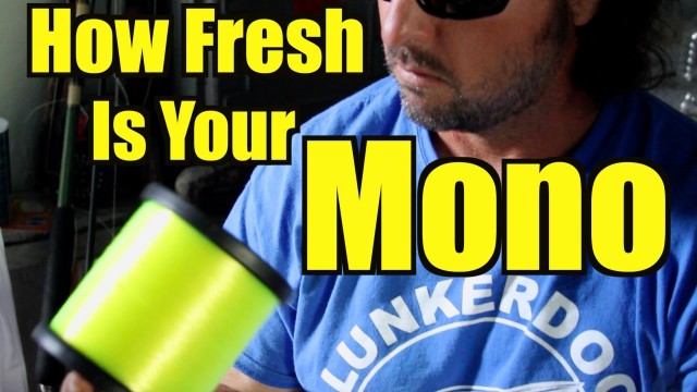 Fishing Line: How Fresh Is Your Mono?