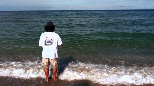 How To Catch Pilchard Bait