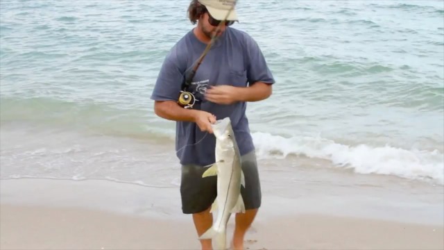 Snook Fishing School – How To Happy Bait For Beginners
