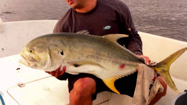 Insane Jack Crevalle Highlight