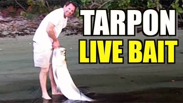 Tarpon Fishing Inshore – Cousin Eric’s Big Day