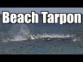 Winter Tarpon Fishing Miami Florida