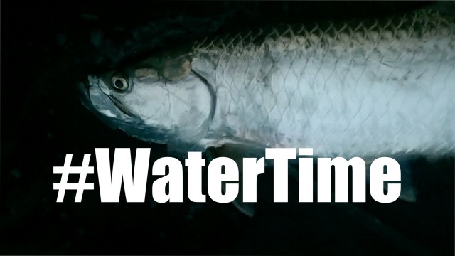 Tarpon Fishing Florida For Noobs – WaterTime