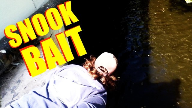 How To Find Snook Bait