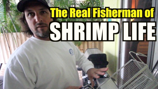 SHRIMP LIFE ALLSTARS Deep Frying – Captain Jeff