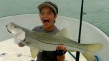 Epic Family Tarpon Snook Fishing Trip – Lunkerdog