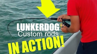 Lunkerdog Rod Action – King Of South Beach