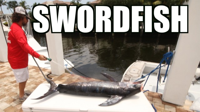 Swordfish On The Zinndog – Lunkerdog