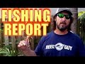 March Fishing Madness – Tarpon Report