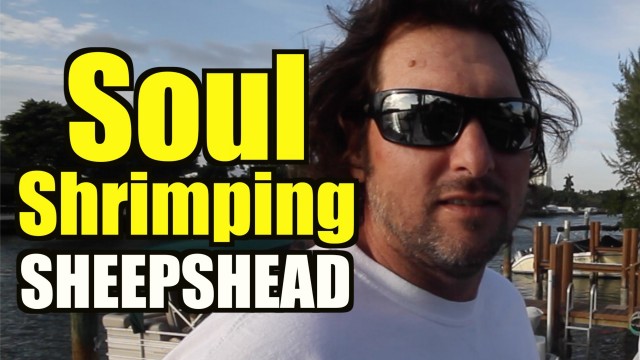 Amazing Sheepshead Fishing Florida