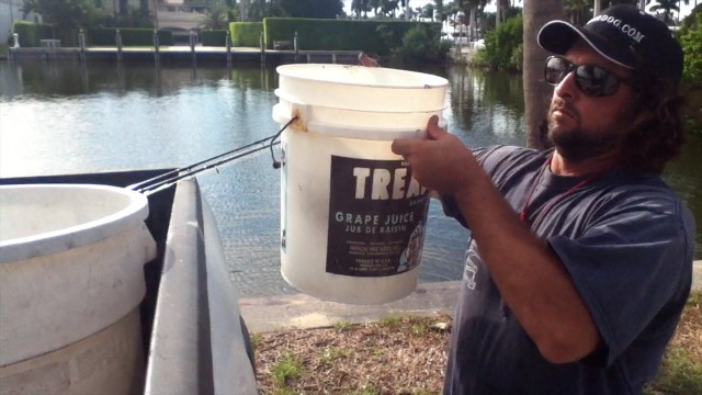 Best Fishing Live Bait Bucket System! Pilchard and Mullet