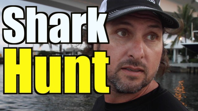 Capt Hunts Shark That Attacked Human