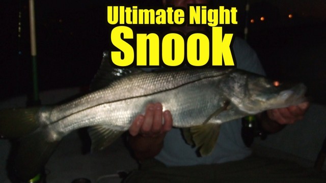 Ultimate Night Snook with Spooltek Lure