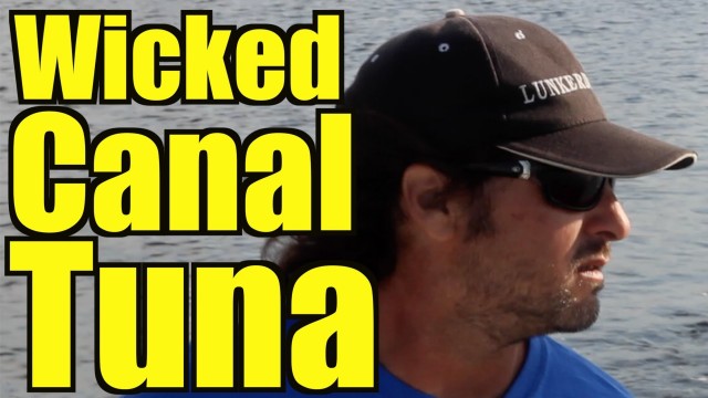 Double Feature: WICKED CANAL TUNA and TARPON LESSON