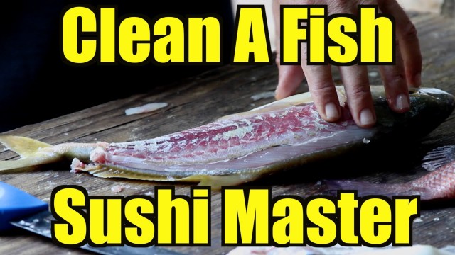 This Fish Cleaning Video Is Very Well Shot